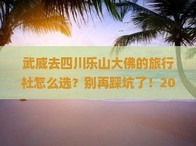 武威去四川乐山大佛旅行社