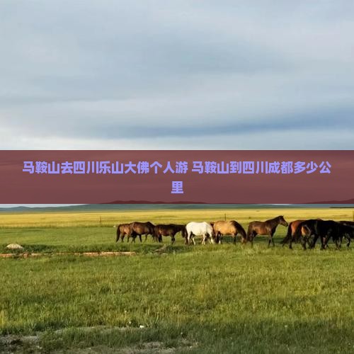 马鞍山去四川乐山大佛个人游