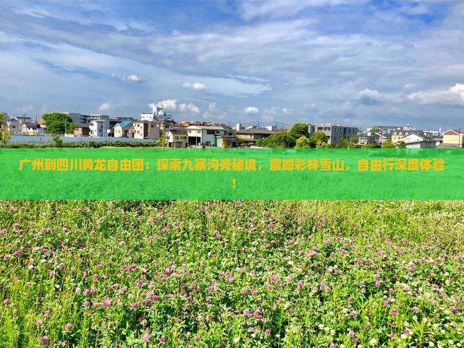 广州到四川黄龙自由团