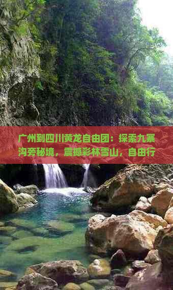 广州到四川黄龙自由团