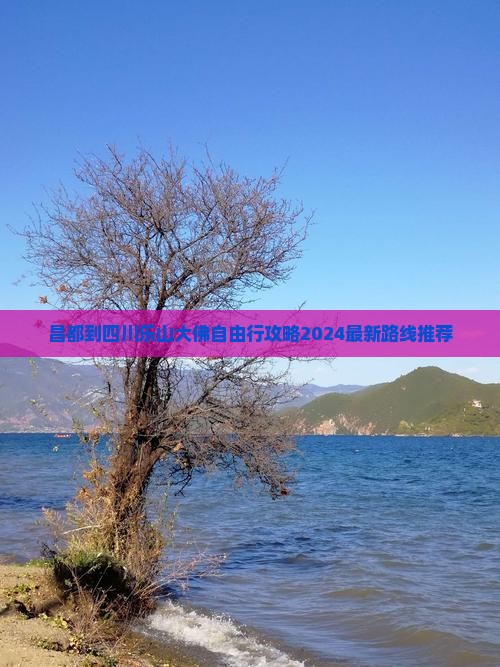 昌都到四川乐山大佛自由行
