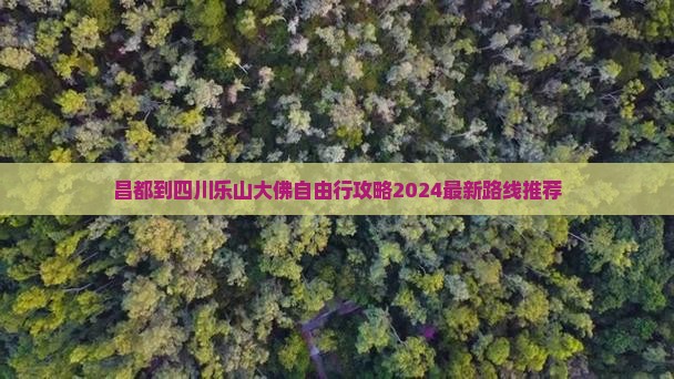 昌都到四川乐山大佛自由行