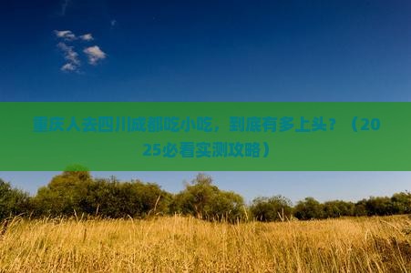 重庆去四川成都旅游小吃