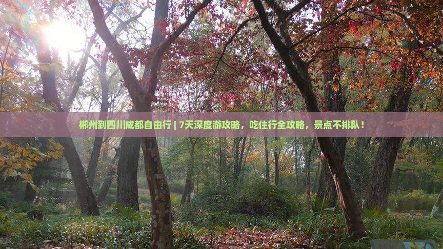 郴州到四川成都自由行 郴州到四川成都自由行