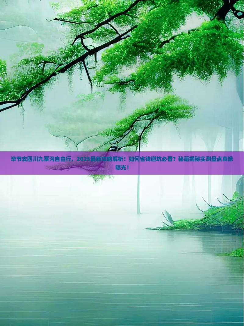 毕节去四川九寨沟自由行