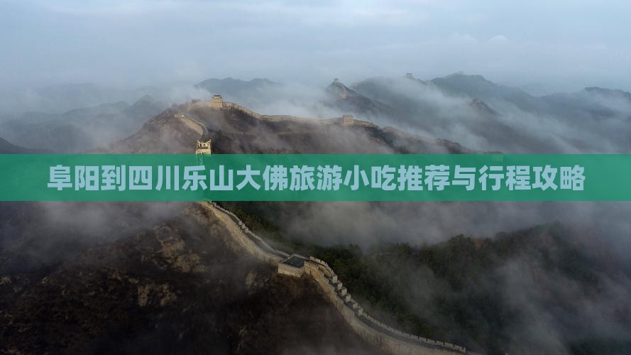 阜阳到四川乐山大佛旅游小吃