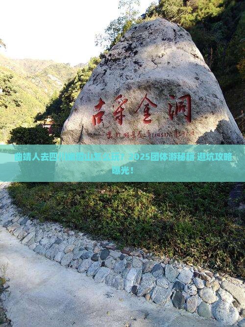 曲靖去四川峨眉山团体旅游 曲靖去四川峨眉山团体旅游