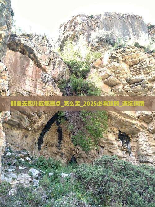 那曲去四川成都景点