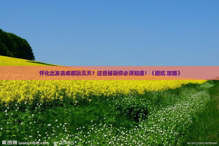 怀化到四川成都五日游