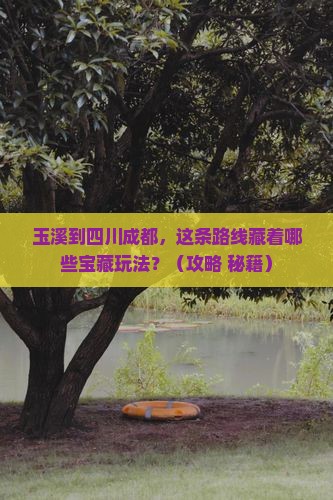 玉溪到四川成都哪里玩