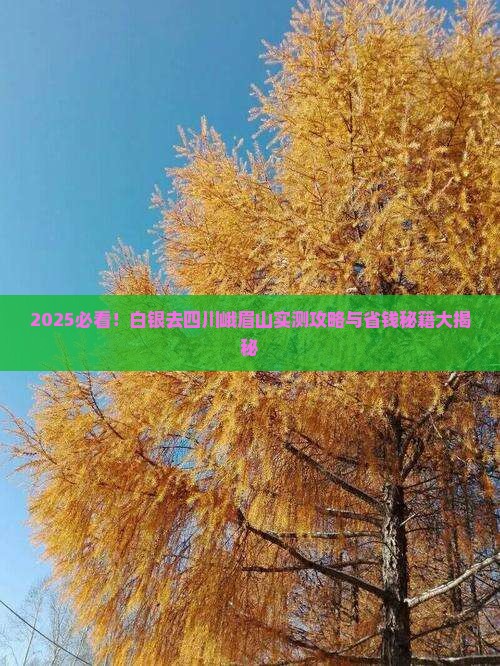 白银去四川峨眉山攻略