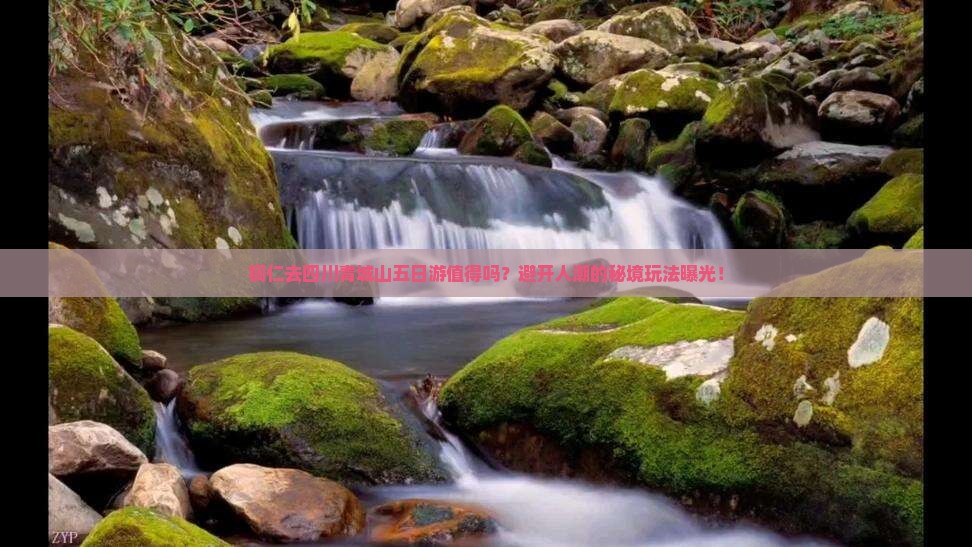 铜仁去四川青城山五日游