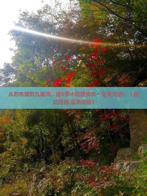 黔东南去四川九寨沟旅游小吃