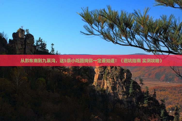 黔东南去四川九寨沟旅游小吃