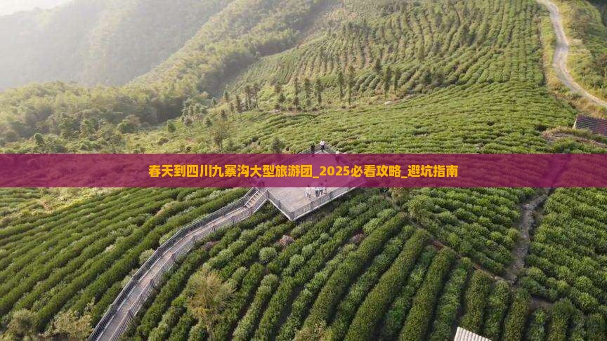 春天到四川九寨沟大型旅游团