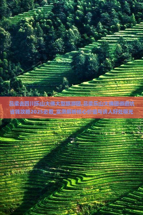 吕梁去四川乐山大佛大型旅游团