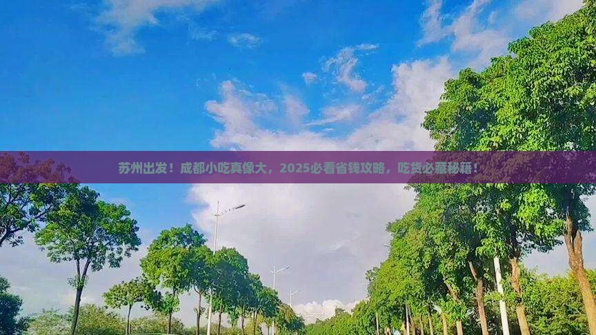 苏州去四川成都旅游小吃