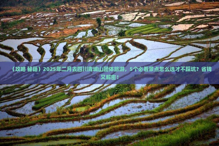 二月到四川青城山团体旅游