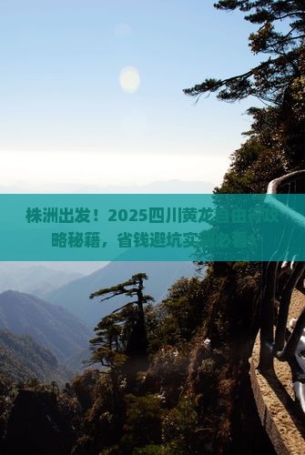 株洲到四川黄龙自由行