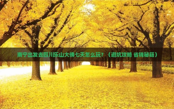 南宁到四川乐山大佛七日游