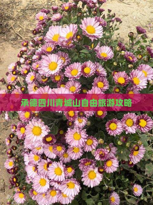 承德到四川青城山自由团
