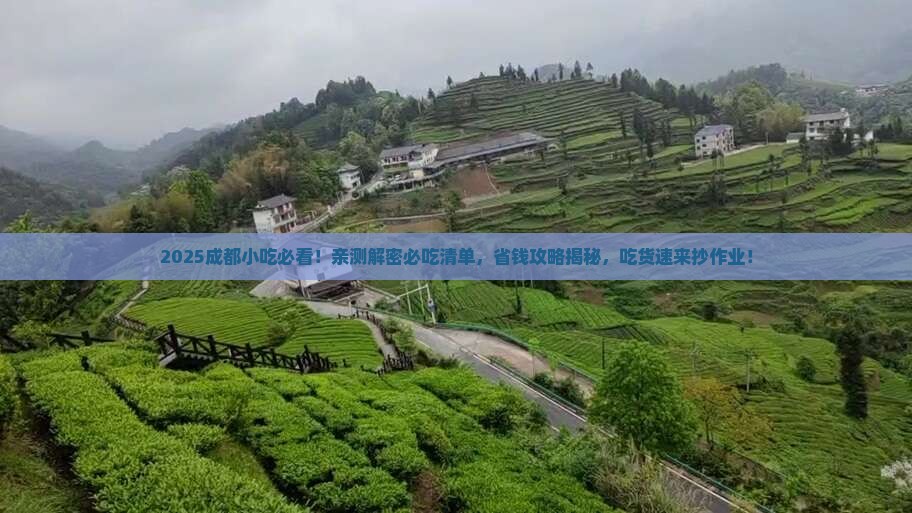 六月到四川成都旅游小吃