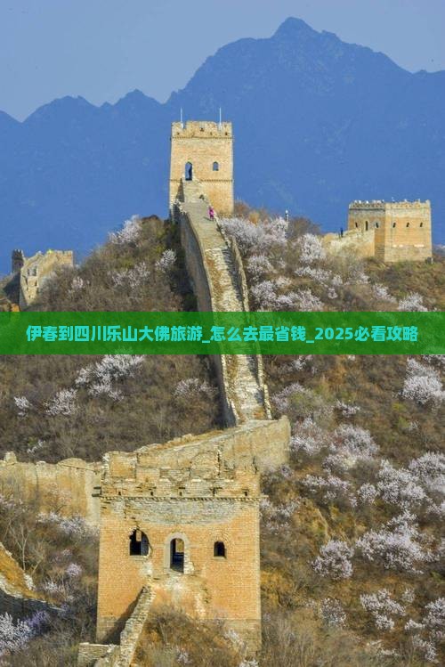 伊春到四川乐山大佛旅游