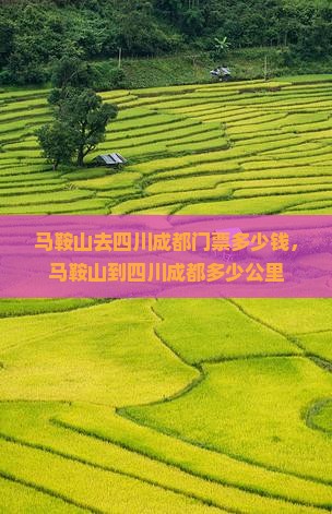 马鞍山去四川成都门票