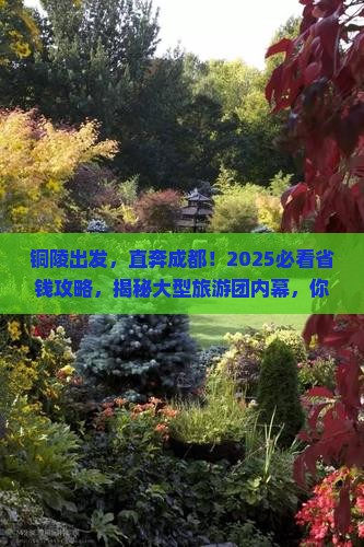 铜陵去四川成都大型旅游团 铜陵去四川成都大型旅游团