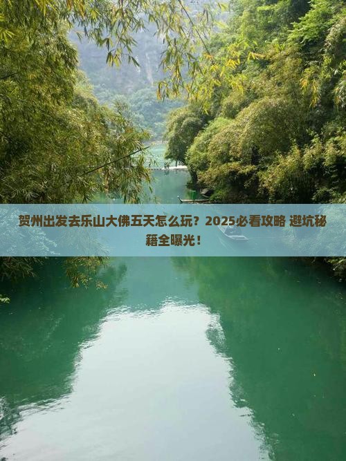 贺州到四川乐山大佛五日游