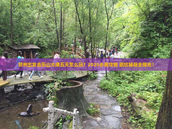 贺州到四川乐山大佛五日游