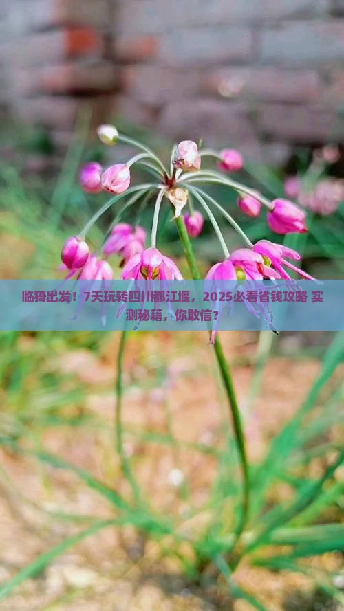 临猗到四川都江堰七日游