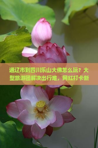通辽市到四川乐山大佛大型旅游团