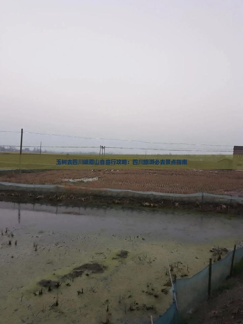 玉树去四川峨眉山自由行