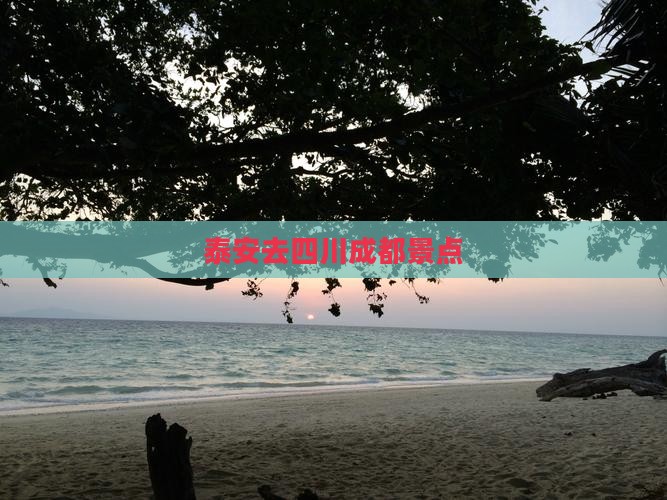 泰安去四川成都景点