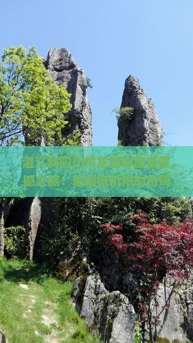 湛江到四川黄龙团体旅游