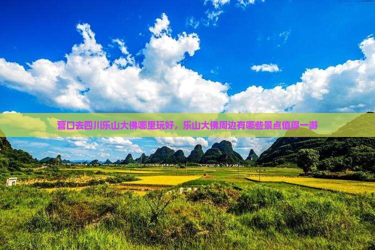 营口去四川乐山大佛哪里玩