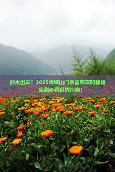 丽水去四川青城山门票