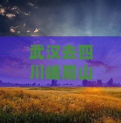 武汉去四川峨眉山五日游