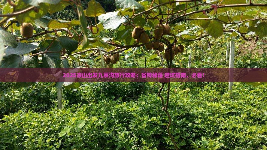 凉山到四川九寨沟旅行社