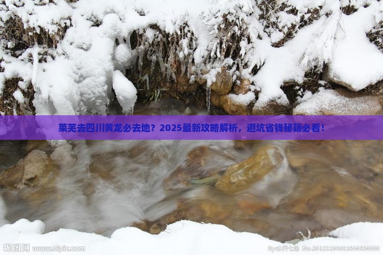 莱芜去四川黄龙必去地