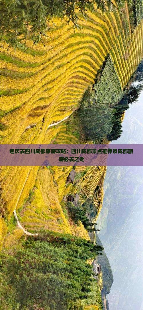 迪庆去四川成都哪里玩