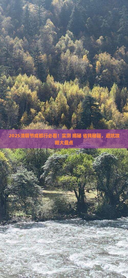 清明节到四川成都攻略