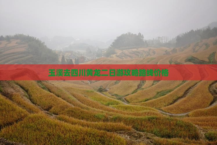 玉溪去四川黄龙二日游