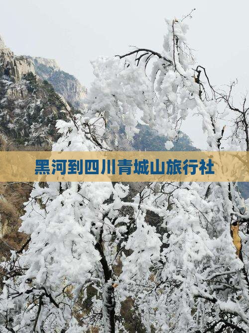 黑河到四川青城山旅行社