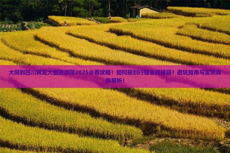 大同到四川黄龙大型旅游团 大同到四川黄龙大型旅游团