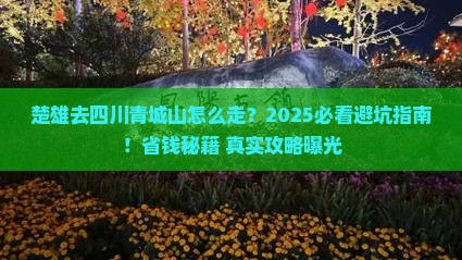 楚雄去四川青城山必去地