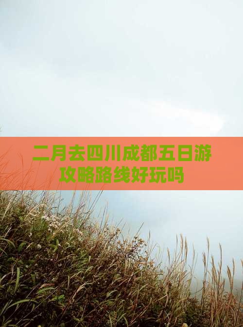 二月去四川成都五日游