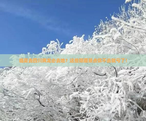 临夏去四川黄龙必去地