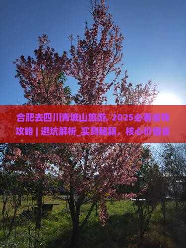 合肥去四川青城山旅游